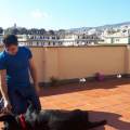 https://be.holidog.com/ImagesPetSitters/9D0EB186-7721-4471-93CD-69B055F9FED1_square_120.jpg Un-amico-a-due-zampe-132375-3