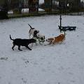 https://be.holidog.com/ImagesPetSitters/9EE61767-9597-445F-ACE4-3226ED106C6C_square_120.jpg 3221-0