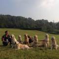 https://be.holidog.com/ImagesPetSitters/9FA9C34A-0FBB-4BB9-B757-056A893EE37F_square_120.jpg 116491-0