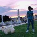 https://be.holidog.com/ImagesPetSitters/A656A5DC-36B6-452F-9F5D-7052357D3667_square_120.jpg Sitter-centro-di-Padova-159739-0
