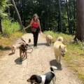 https://be.holidog.com/ImagesPetSitters/A9979D04-D784-4DE7-9533-F0BBBE2152CF_square_120.jpg 96302-1