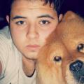 https://be.holidog.com/ImagesPetSitters/AD2C6354-AB41-4B29-A5D8-AE86C7F4C067_square_120.jpg Salim--121543-3
