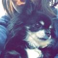 https://be.holidog.com/ImagesPetSitters/AF1CCFCF-128E-4AE0-9D3E-86C36B1CAA1B_square_120.jpg Mlle.Holidog-!-14825-2