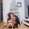 https://be.holidog.com/ImagesPetSitters/B2A5FA92-3429-4EFA-9FA1-0904BBC3347B_square_120.jpg Mégane-passionée-des-animaux-332381-0