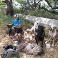 https://be.holidog.com/ImagesPetSitters/B31792BD-9DAA-4431-8D2F-EE17C677F550_square_120.jpg Promeneuse-de-chiens-113602-2
