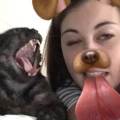 https://be.holidog.com/ImagesPetSitters/B8DEFF93-AD8C-47F3-82C2-1E0AFD2921BC_square_120.jpg l'amie-des-animaux--323499-1