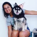 https://be.holidog.com/ImagesPetSitters/BC972298-95BF-4117-BC24-F5EFE24F764D_square_120.jpg Un-nouvel-Ami-!-535005-0
