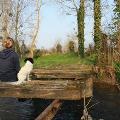 https://be.holidog.com/ImagesPetSitters/BE5C7F96-CD92-4F53-BFE3-E7CD1F472647_square_120.jpg Stroll-Girl-19464-1