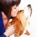 https://be.holidog.com/ImagesPetSitters/BE72C699-9396-47E2-BDEE-DD09DB951414_square_120.jpg 3878-0