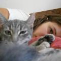 https://be.holidog.com/ImagesPetSitters/CE98C4EB-94EA-4D1A-A885-6CE369EA0A03_square_120.jpg 36883-3