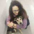 https://be.holidog.com/ImagesPetSitters/CFDBA570-A635-46A1-A33A-186B340F0CFB_square_120.jpg Animaland-117364-0