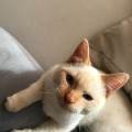 https://be.holidog.com/ImagesPetSitters/D44D9AC9-024C-4E57-A16C-B8E390E34124_square_120.jpg 7419-3