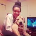 https://be.holidog.com/ImagesPetSitters/D5B7D3D3-E3A8-487E-8DE8-299E70171301_square_120.jpg Marley-and-me-15187-1