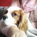 https://be.holidog.com/ImagesPetSitters/D637B2A0-0369-4589-8118-449D3A67945C_square_120.jpg Toutouland-289376-1