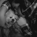 https://be.holidog.com/ImagesPetSitters/D775406A-1C81-48D7-8CB8-05594082D71B_square_120.jpg 10660-2