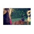 https://be.holidog.com/ImagesPetSitters/D8915C8A-81B4-4B4E-98C7-85D3812B434F_square_120.jpg Garde-d'animaux.-131443-0