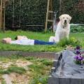 https://be.holidog.com/ImagesPetSitters/DD8B1602-4245-4927-B336-4893F7EA6EF3_square_120.jpg "Home-sweet-home!"-96329-1