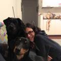 https://be.holidog.com/ImagesPetSitters/E0DA7AFE-1118-4566-9393-1523642BB866_square_120.jpg Svago-e-affidabilità-135342-3