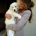 https://be.holidog.com/ImagesPetSitters/E68B1015-8DDE-4341-81A1-A554B1101C01_square_120.jpg Lucydoglover-36306-3
