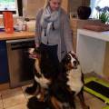 https://be.holidog.com/ImagesPetSitters/E7D7B8FB-1953-42D1-982D-1C6676B55CEE_square_120.jpg Une-passion-et-un-métier-29325-3
