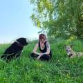 https://be.holidog.com/ImagesPetSitters/EC1C7620-6568-4BDF-8CE8-2A18663DE378_square_120.jpg Charlotte-B,-comportementaliste-669-2