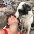 https://be.holidog.com/ImagesPetSitters/EE23C88D-4C36-4B73-A104-CE881CB9B15A_square_120.jpg L’amoureuse-des-animaux-47982-1