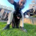 Pet-sitter-à-liège-avec-expérience-101172-2