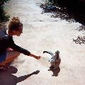 https://be.holidog.com/ImagesPetSitters/F4EBBE95-2F7D-4A82-BB2B-55AE14B04A86_square_120.jpg Pet's-paradise-23283-0