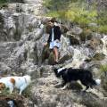 https://be.holidog.com/ImagesPetSitters/F7AA5680-B333-40FA-AE4E-B20CB7C9549D_square_120.jpg passeggiate-nel-verde--145480-2