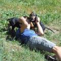 https://be.holidog.com/ImagesPetSitters/F7EE4FF8-594A-4CA6-A981-06DEE7196AF1_square_120.jpg la-mia-passione-30268-0