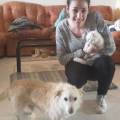 https://be.holidog.com/ImagesPetSitters/FEDF173F-C787-4254-B1B5-EB61EA13CBE0_square_120.jpg Pet-sitter-a-domicilio-e-dog-walker-84032-1