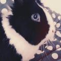https://be.holidog.com/ImagesPetSitters/FEF1E93B-8D6C-45AC-BB27-93406C71779A_square_120.jpg Garde-de-vos-animaux--217437-2